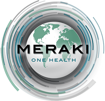 Meraki One Health logo