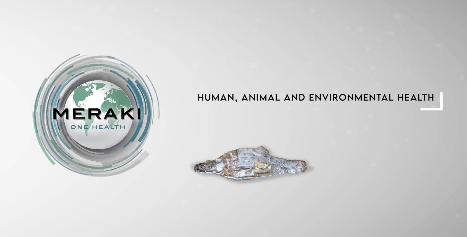 Human animal and enviromental health Meraki