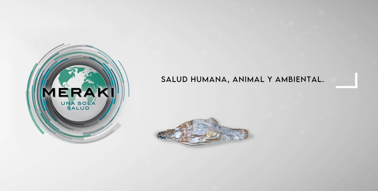 Salud humana animal y ambiental Meraki